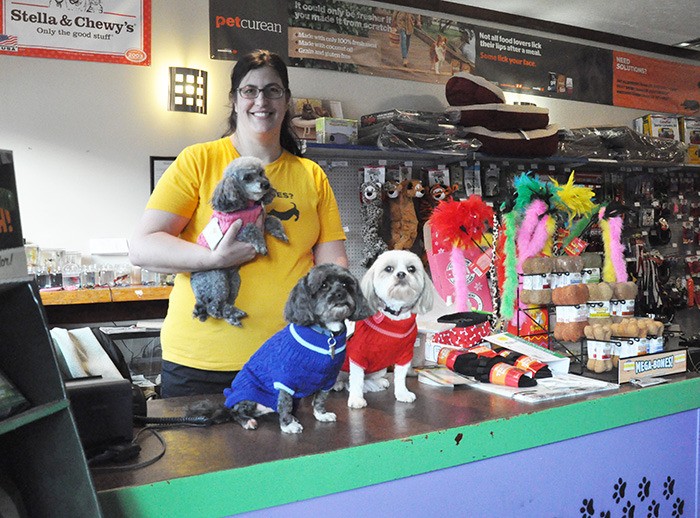 Stacey Gysbers poses with a few of her furrier customers who just got new sweaters at Happy Tails Pet Supplies to keep them warm this winter.