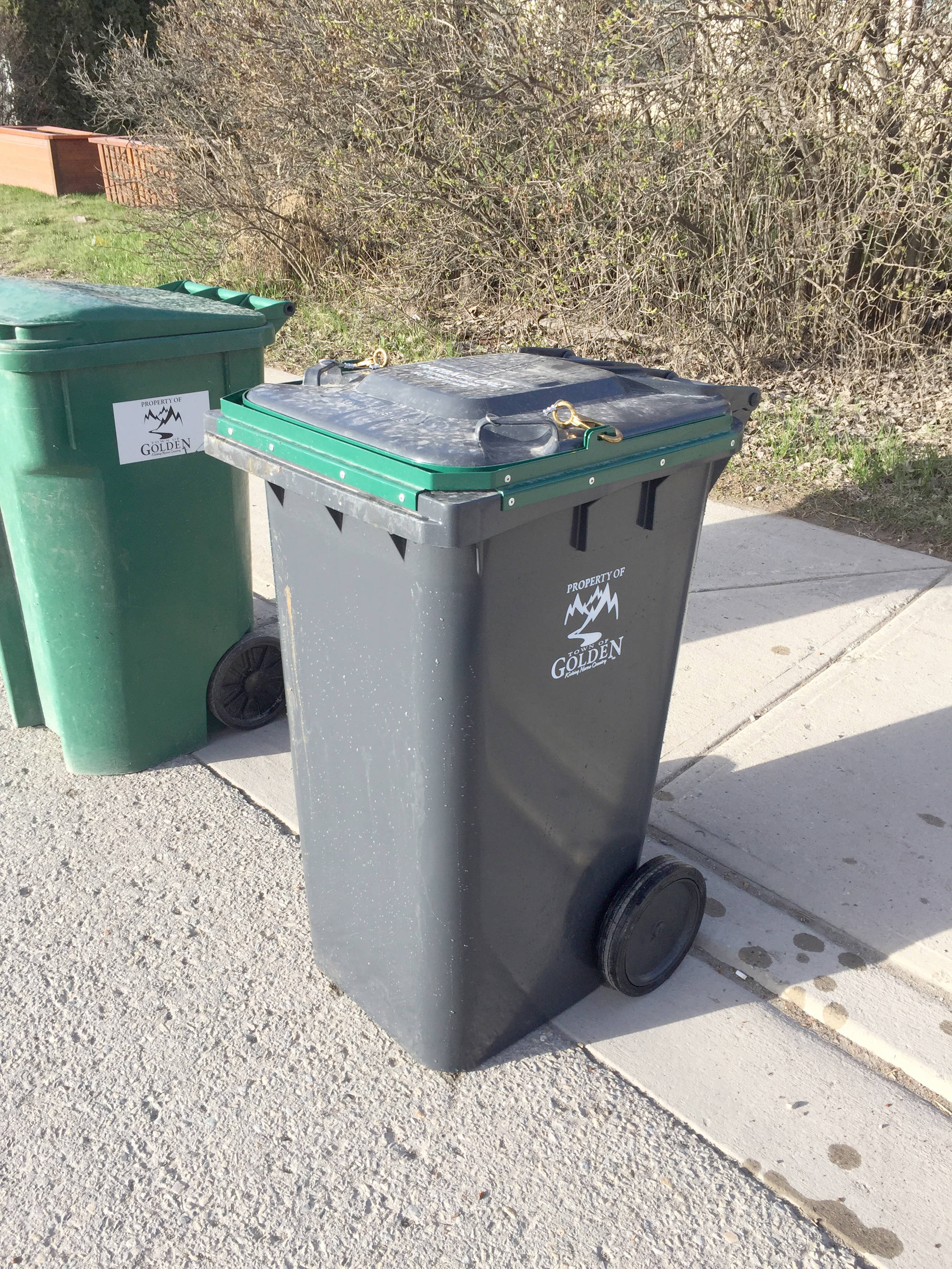Four hundred new bear resistant bins have been placed in Golden neighbourhoods, but not everyone is using them correctly.                                Photo Submitted
