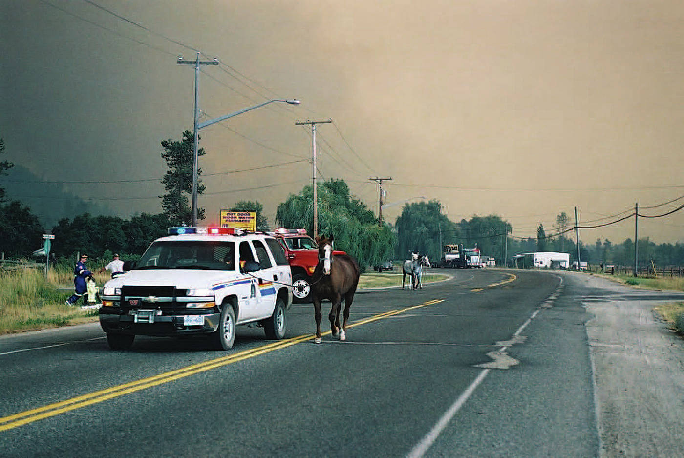 Horse Council BC activates fund to help with animals displaced by B.C. wildfires