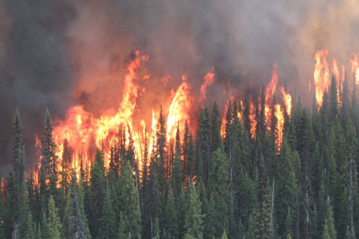 An emergency management company, Safeguard, was deployed to help at the Shovel Lake fire then sent home three days later by BC Wildfire Service. (Photo Black Press)