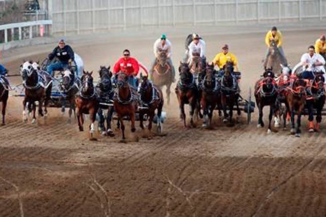 A chuckwagon race is seen during Calgary Stampede in Calgary, on July 13, 2012. (THE CANADIAN PRESS/Jeff McIntosh)