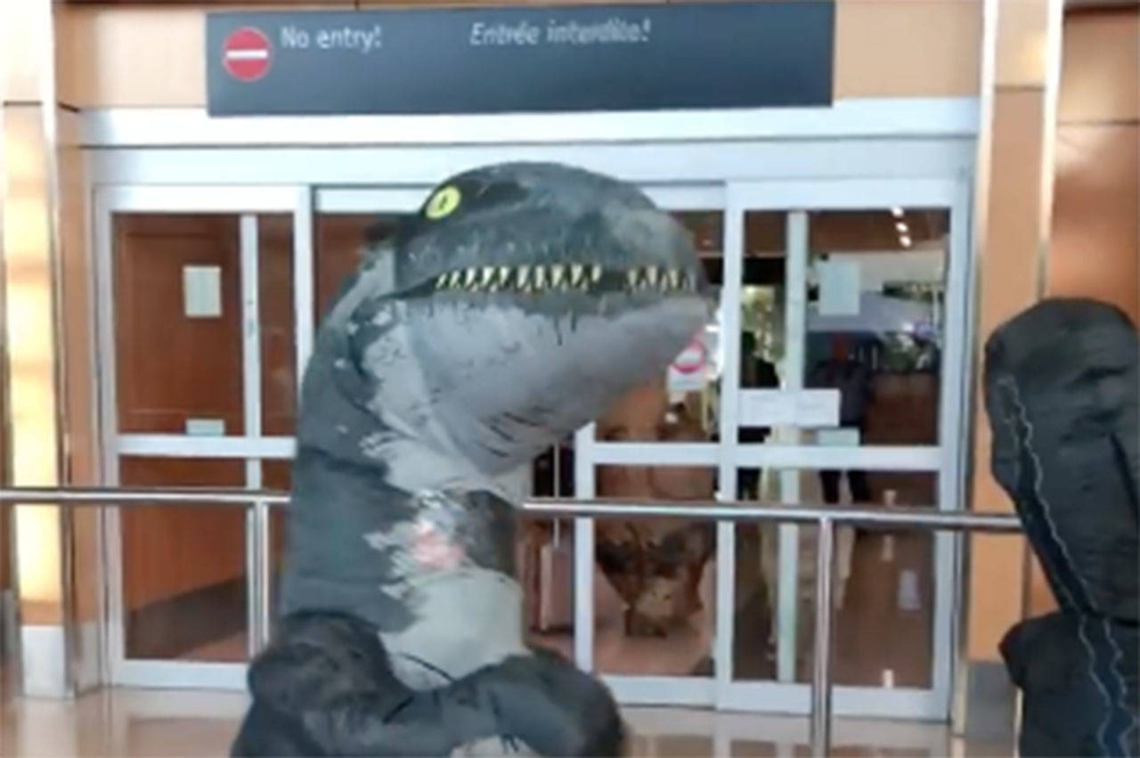 Two boys dressed up as dinosaurs to greet their grandmother; little did they know who— or what— would be greeting them (File contributed/ Tabitha Cooper)