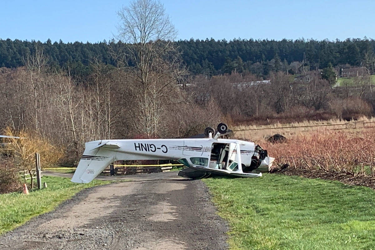 On Feb. 18, a Cessna 172 plane in distress went down at about 9 a.m. and landed in a rural farm at the end of Beckwith Avenue in Saanich. The two occupants of the plane were uninjured. The pilot was forced to land after the plane’s engine seized. (Shalu Mehta/News Staff)