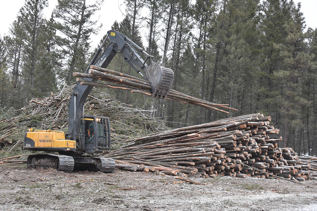 REN Energy will source waste wood from ATCO Wood Products and other forest companies to create Renewable Natural Gas in a new facility planned for Park Siding just outside of Fruitvale. (Townsman file photo)