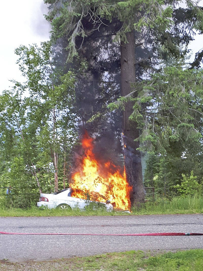 A witness took this photo about 5:30 p.m. on Wednesday, June 23 when a vehicle crashed into a tree in a neighbourhood near Salmon Arm. The driver is reported to have jumped out and left the scene. (Photo contributed)
