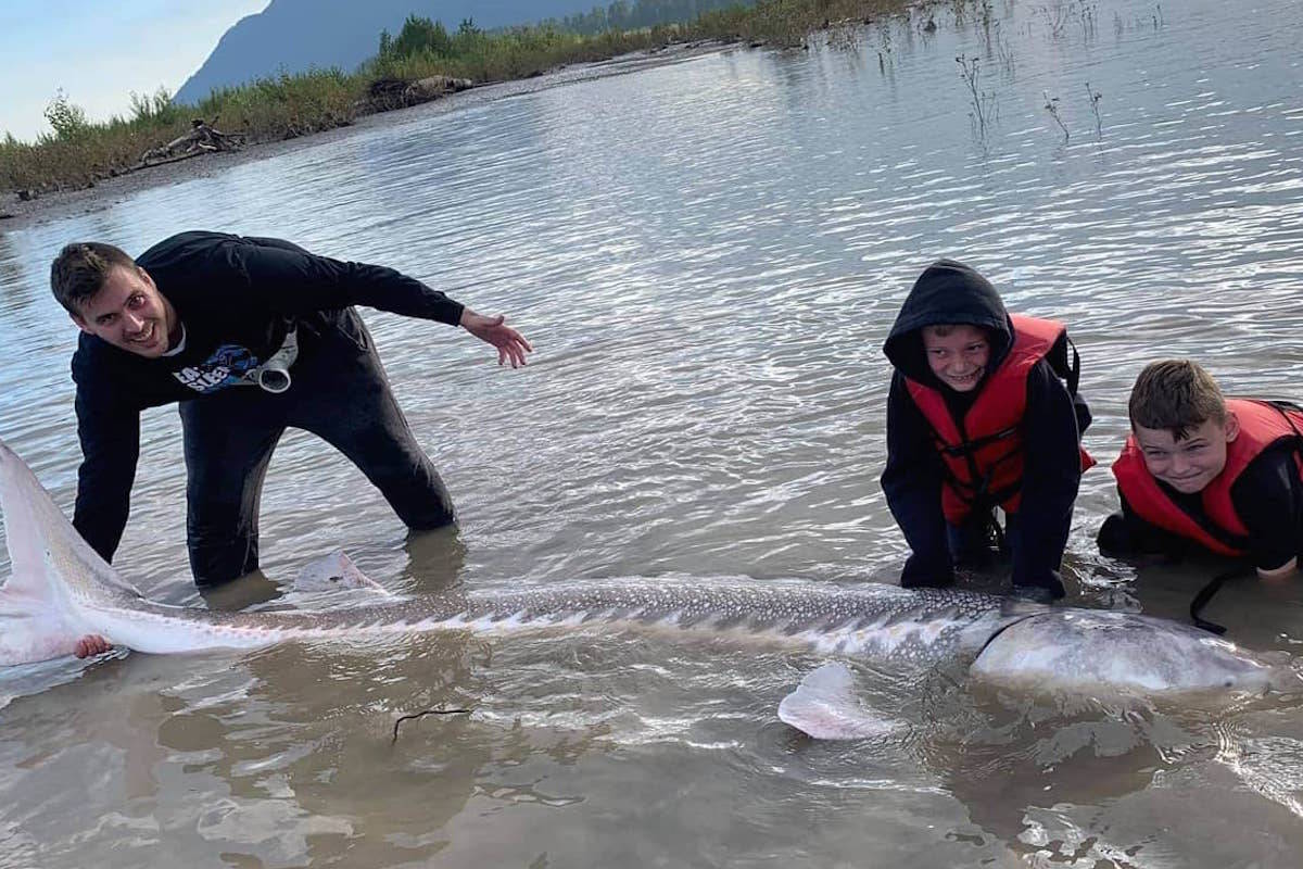The Brown family of Chilliwack with one of the largest sturgeon caught so far this season on the Fraser at 10.2 feet. (Submitted)