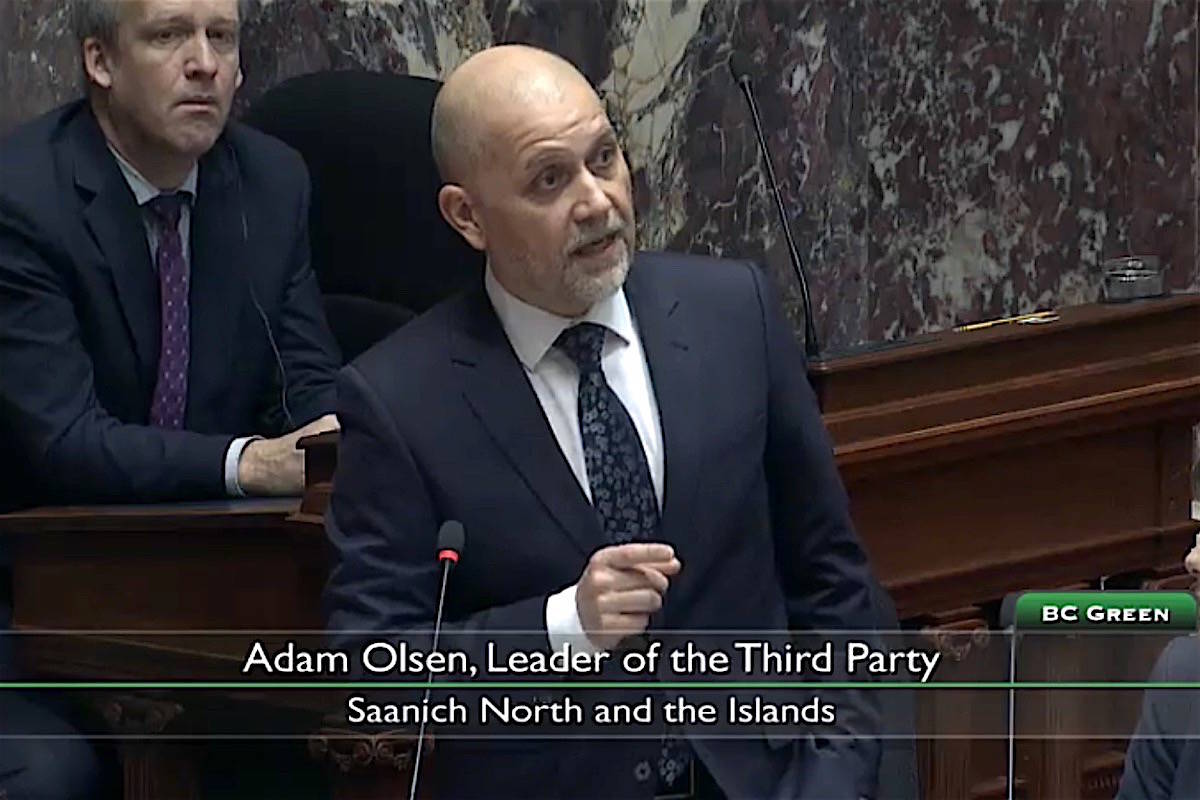 B.C. Green Party interim leader Adam Olsen speaks in the legislature, Feb. 25, 2020. (Hansard TV)