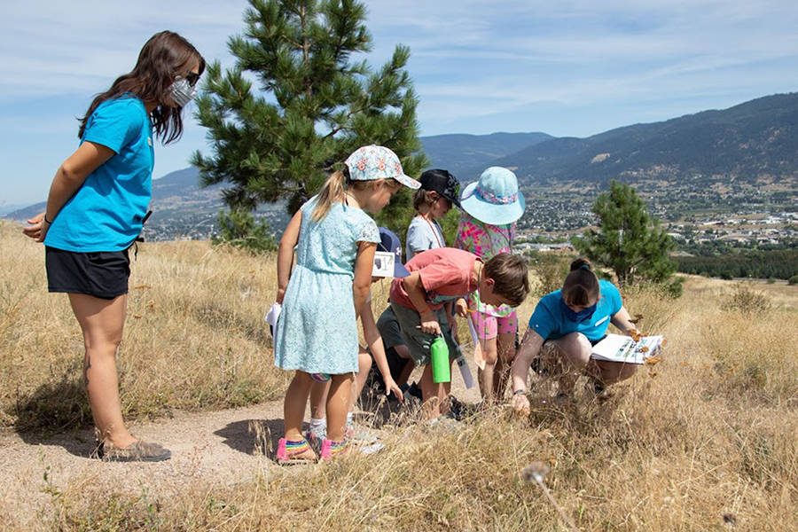 The Allan Brooks Nature Centre is kicking off a Light The Night fundraising campaign online to help with Christmas shopping for the public and fundraising for the popular Vernon attraction. (ABNC Photo)