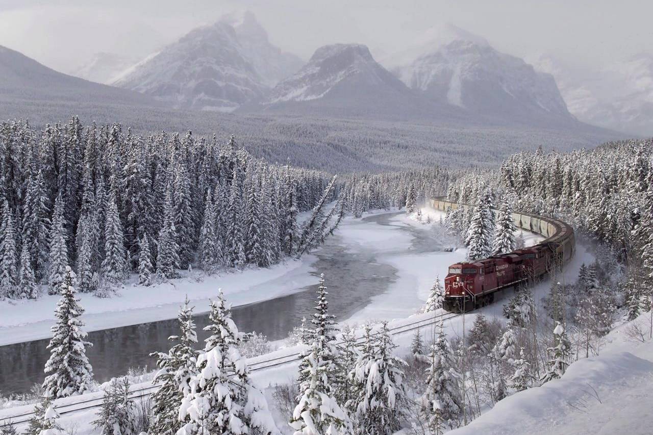 A Canadian Pacific freight train travels around Morant’s Curve near Lake Louise, Alta., on Monday, Dec. 1, 2014. A study looking at 646 wildlife deaths along the railway tracks in Banff and Yoho national parks in Alberta and British Columbia has found that train speed is one of the biggest factors. THE CANADIAN PRESS/Frank Gunn