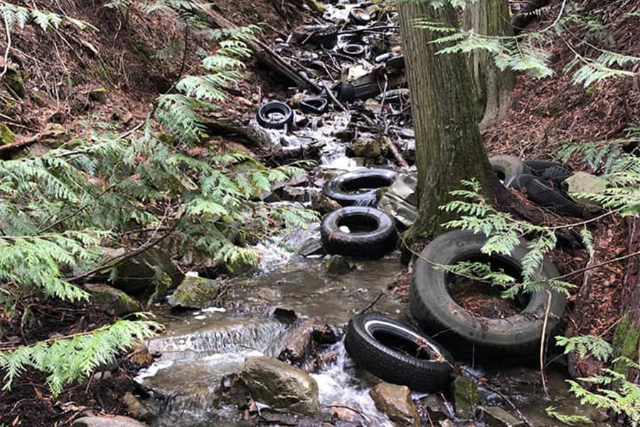 The Okanagan Forest Task Force is seeking approval from a government agency to clear a swath of discarded tires from a creek south of Vernon. (OFTF photo)