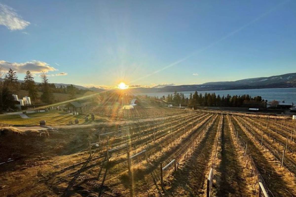Summerhill Pyramid Winery. (Contributed)