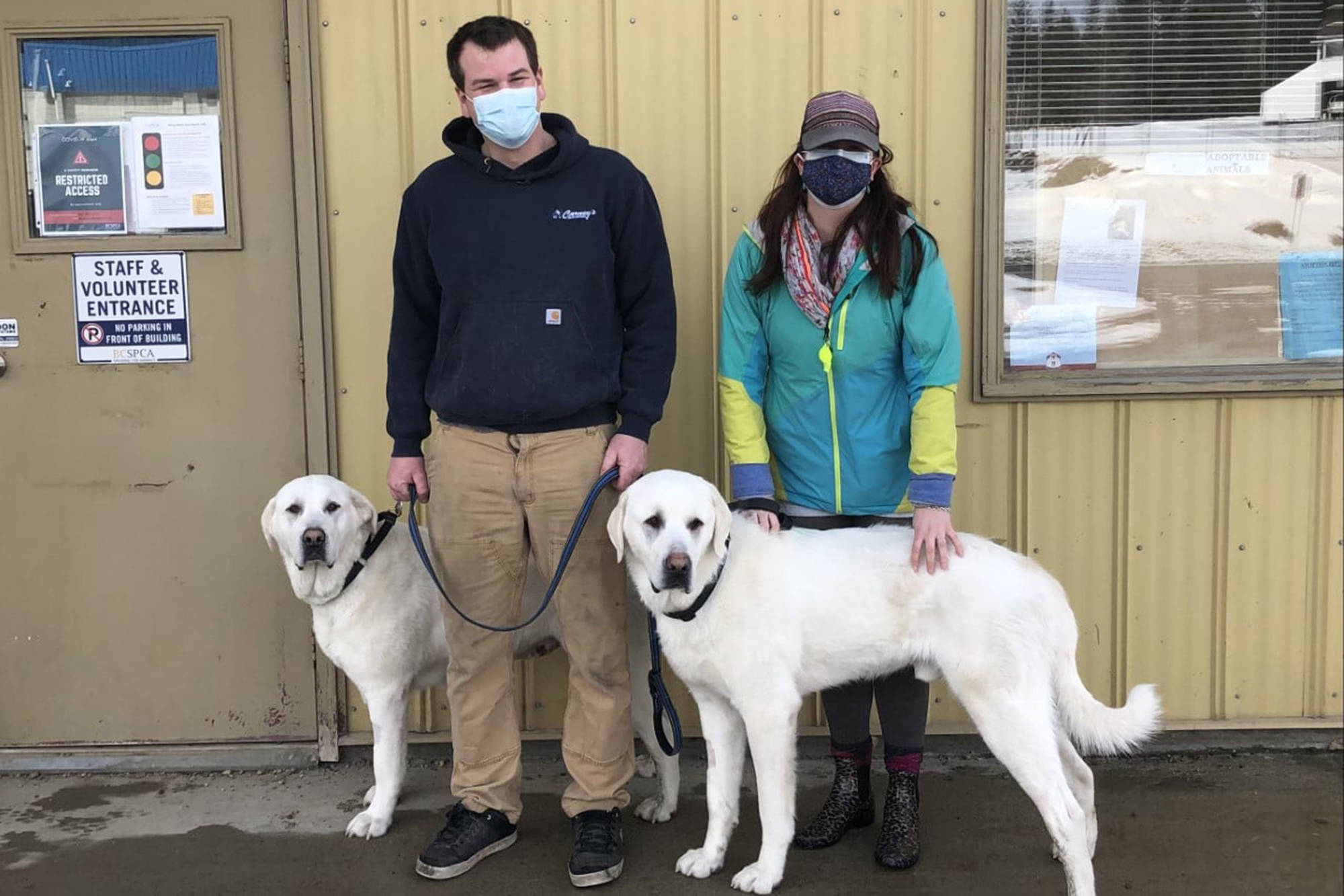 The BC SPCA Shuswap Branch announced Captain and Maria had been adopted together on Feb. 28, 2021. (BC SPCA Shuswap Branch photo)
