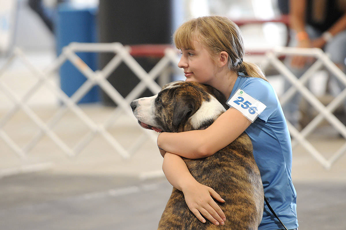 A girl wraps her arms around her dog during a 4-H event at the 147th annual Chilliwack Fair on Aug. 10, 2019. Saturday, April 10, 2021 is Hug Your Dog Day. (Jenna Hauck/ Chilliwack Progress)