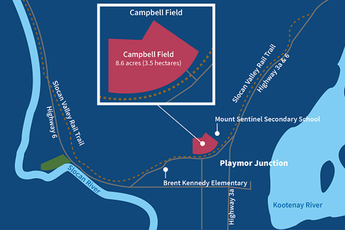 Over 1,000 households and 34 community groups were asked about the future of Campbell Field. Illustration: Regional District of Central Kootenay