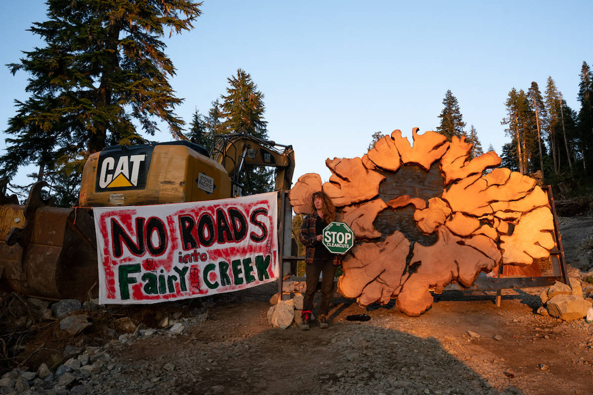 Protesters attempt to stop clear-cutting of old-growth trees in Fairy Creek near Port Renfrew. (Will O’Connell photo)
