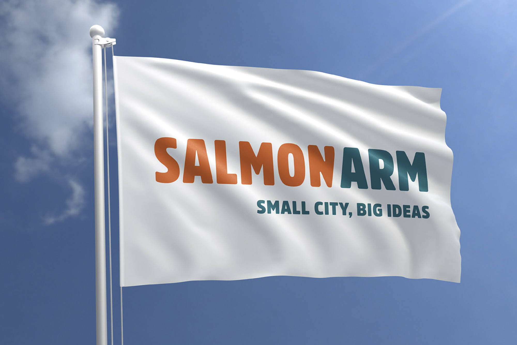 The majority of city council votes in favour of this design for a new Salmon Arm flag on Monday, May 10, 2021. (City of Salmon Arm image)