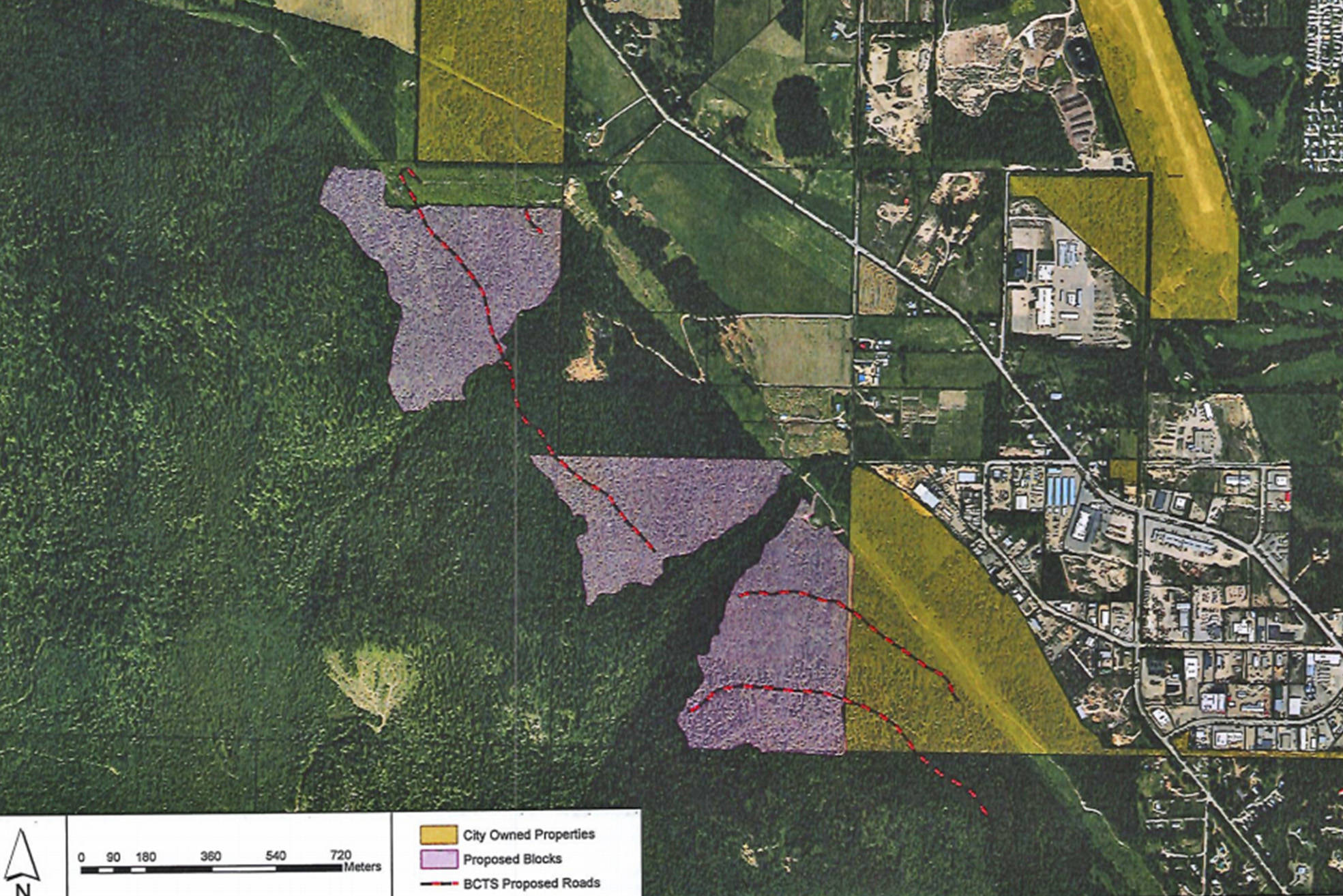 Logging is proposed for a portion of Mount Ida, with the industrial park to the right. The purple portions are the proposed cut blocks, the yellowy-green are city-owned properties and the red and black dotted lines are the proposed logging roads. (City of Salmon Arm image)