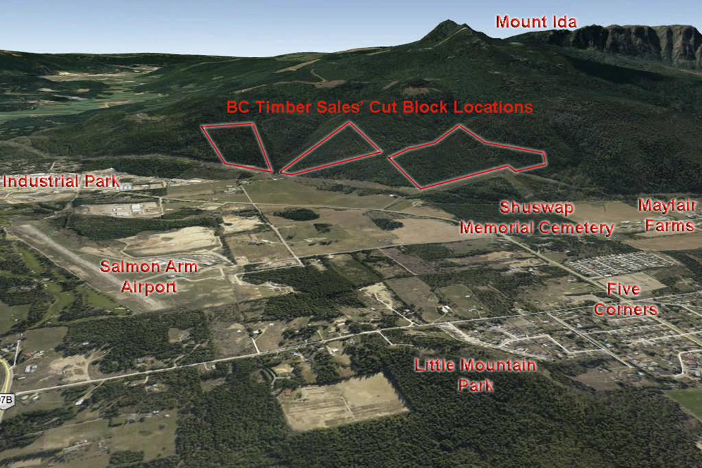 A topographic (3D) perspective captured from Google Earth to create a perspective of the approximate proposed cut block outlines on Mount Ida in relation to familiar local landmarks. (Alex Inselberg image)