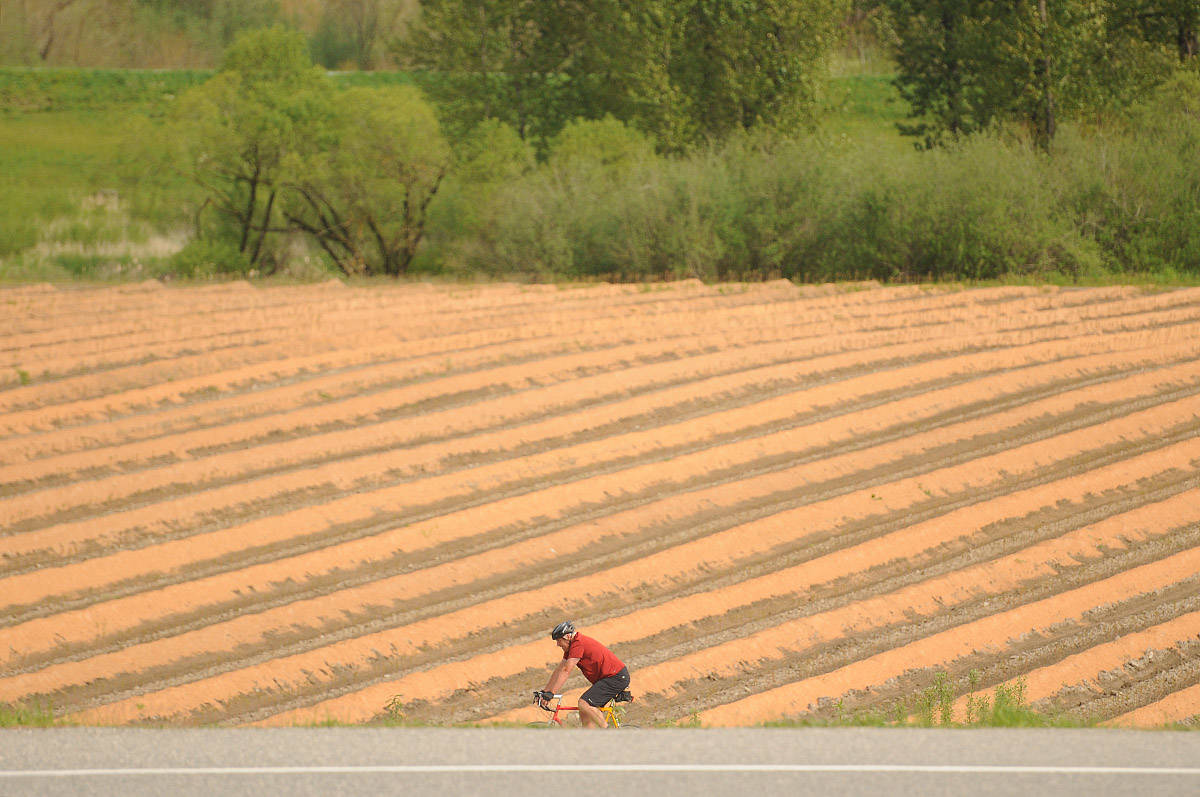 A cyclist heads west on Industrial Way in Chilliwack soaking up the springtime sun on Thursday, April 29, 2021. Thursday, June 3, 2021 is World Bicycle Day. (Jenna Hauck/ Chilliwack Progress)