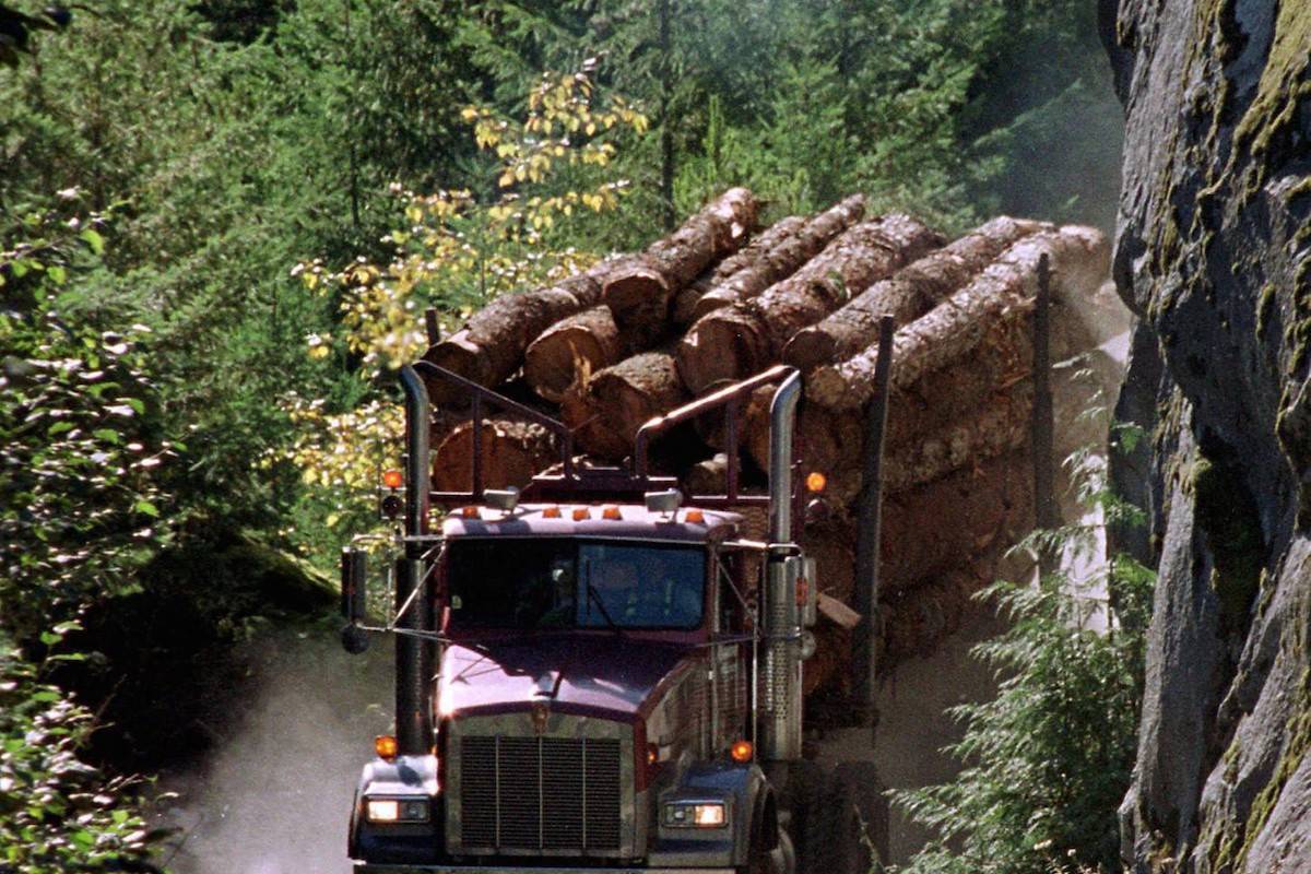 A logging truck carries its load down the Elaho Valley near in Squamish, B.C. in this file photo. THE CANADIAN PRESS/Chuck Stoody