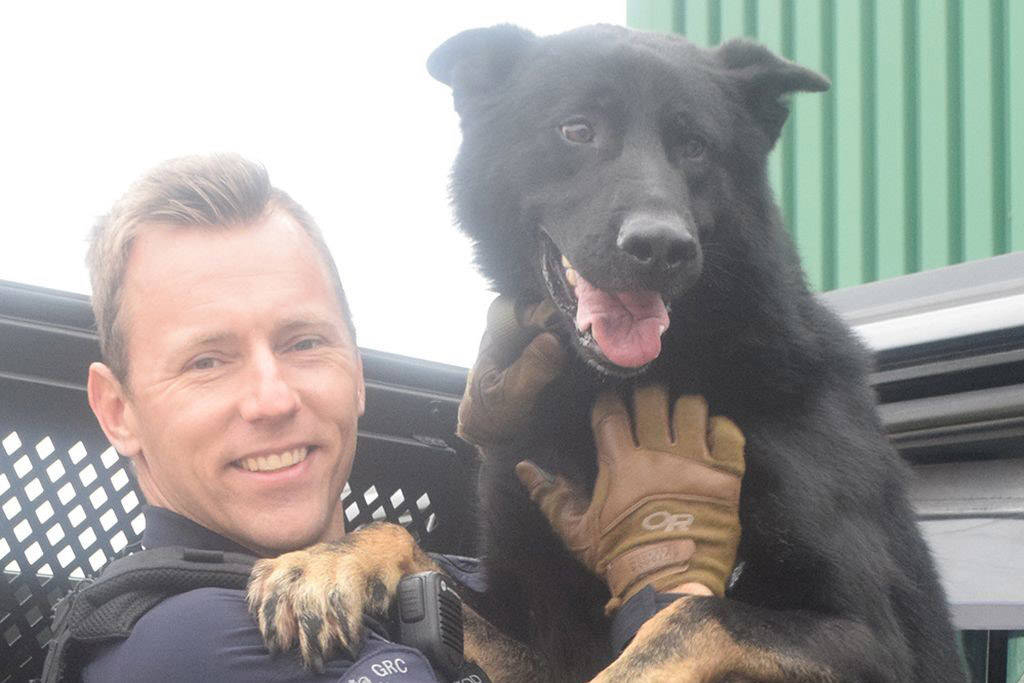Cpl. Scott MacLeod and Police Service Dog Jago. Jago was killed in the line of duty on Thursday, June 17. (RCMP)