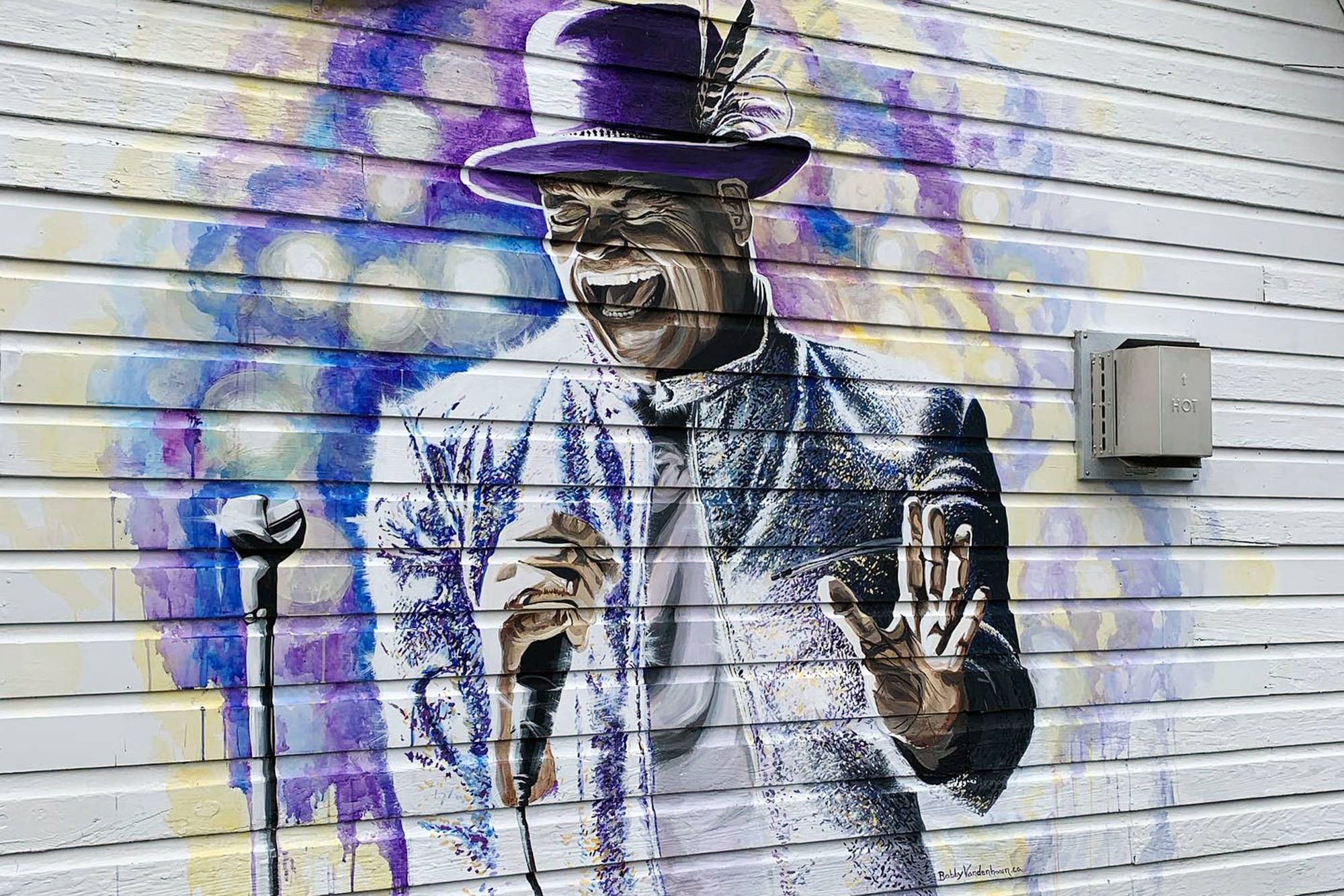 Kelowna artist Bobby Vandenhoorn recently completed mural of late Canadian rock icon and activist Gord Downie now adorns Brenda Dalzell’s Sicamous business, the Bruhn Crossing Urban Market. (Contributed)