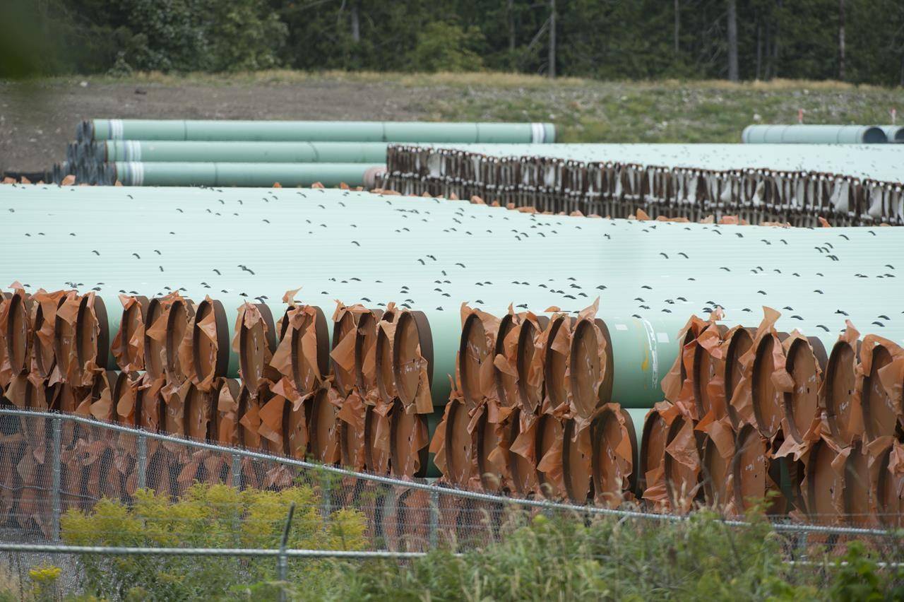 Pipes for the Trans Mountain pipeline project are seen at a storage facility near Hope, B.C., Tuesday, Sept. 1, 2020. A federal regulator says it has lifted a stop work order on tree cutting and grass mowing work along the Trans Mountain pipeline expansion project route. THE CANADIAN PRESS/Jonathan Hayward