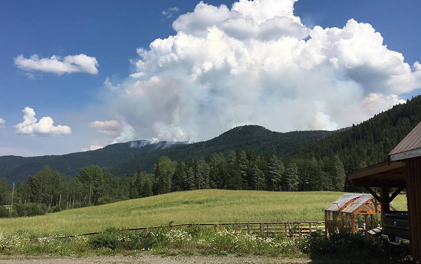 The Canim Lake fire grew to 700 hectares overnight Sunday, and has prompted an expanded evacuation alert. (Martina Dopf - 100 Mile Free Press)