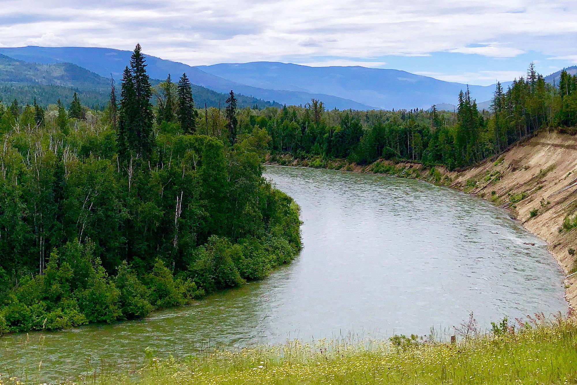 The recent rising water in the Adams River, pictured two kilometres north of Adams Lake, is being attributed to glacier melt. (Lorn McCausland photo)