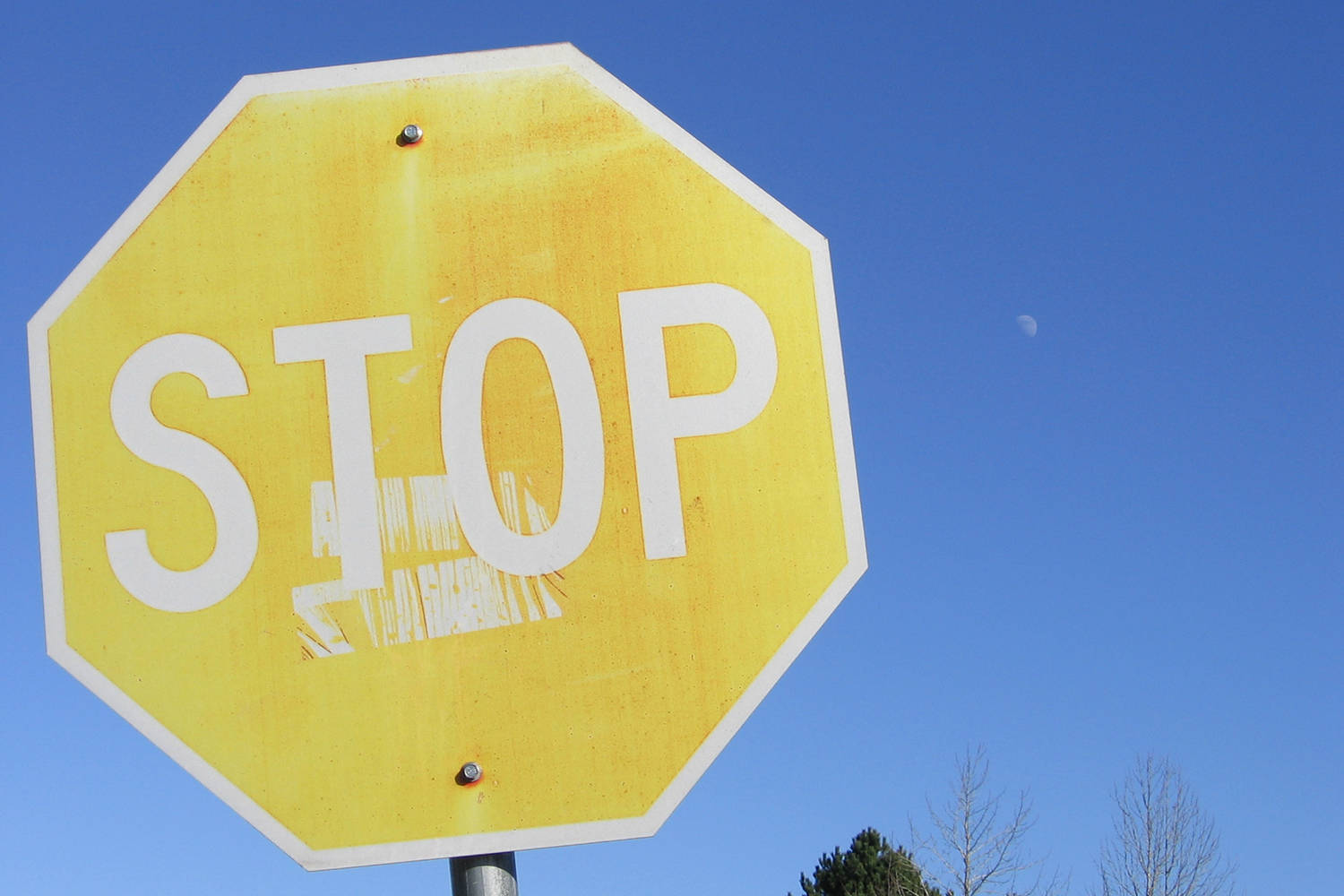 Yellow stop sign in Cedar Mill, Oregon. (Wikimedia Commons photo)
