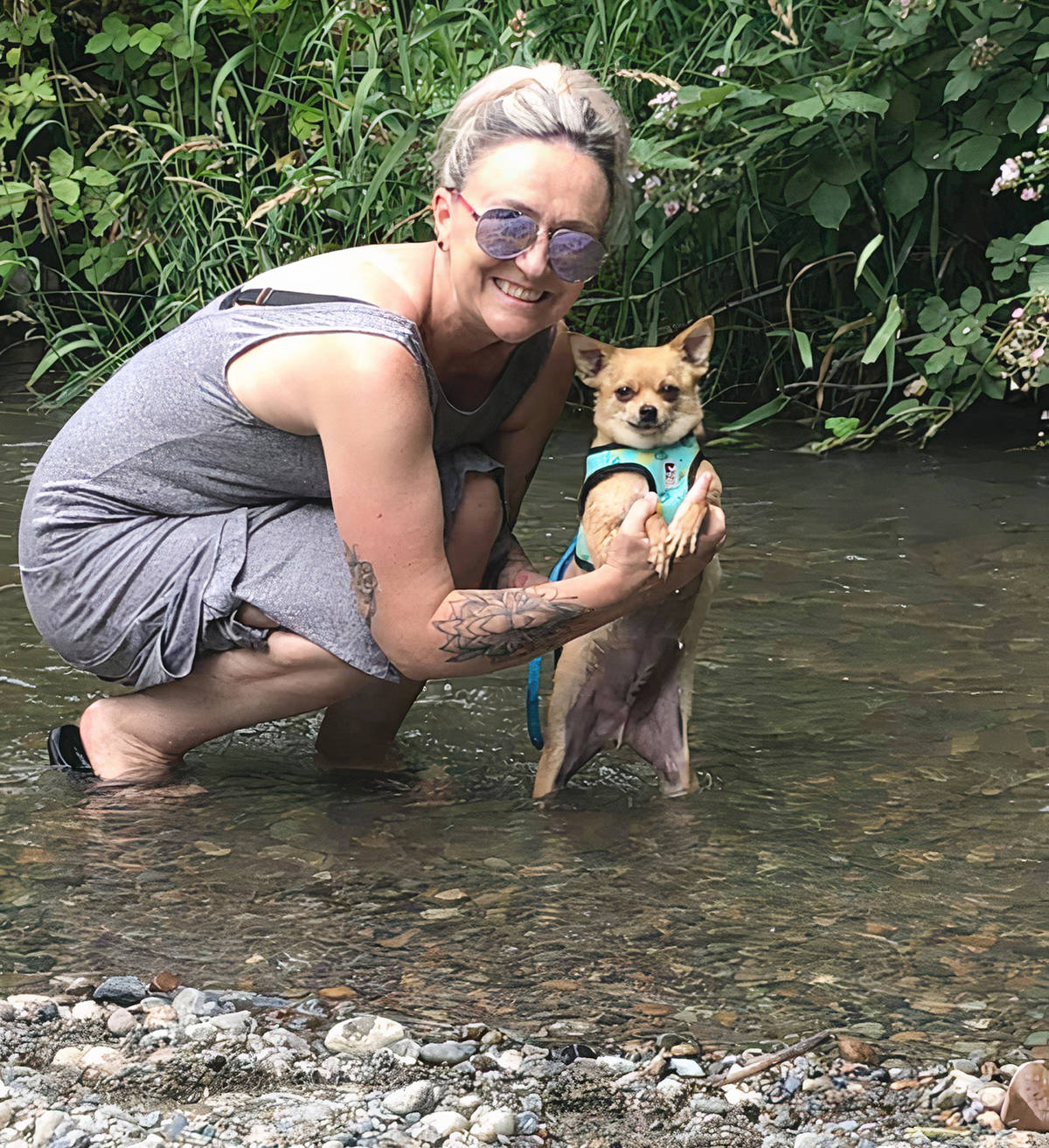 Walnut Grove resident Tricia Hill is hoping telling the story of how her dog Frankie, a two-and-a-half year-old Chihuahua was mauled to death by two pit bulls, will toughen dangerous dog regulations. (Special to Langley Advance Times)