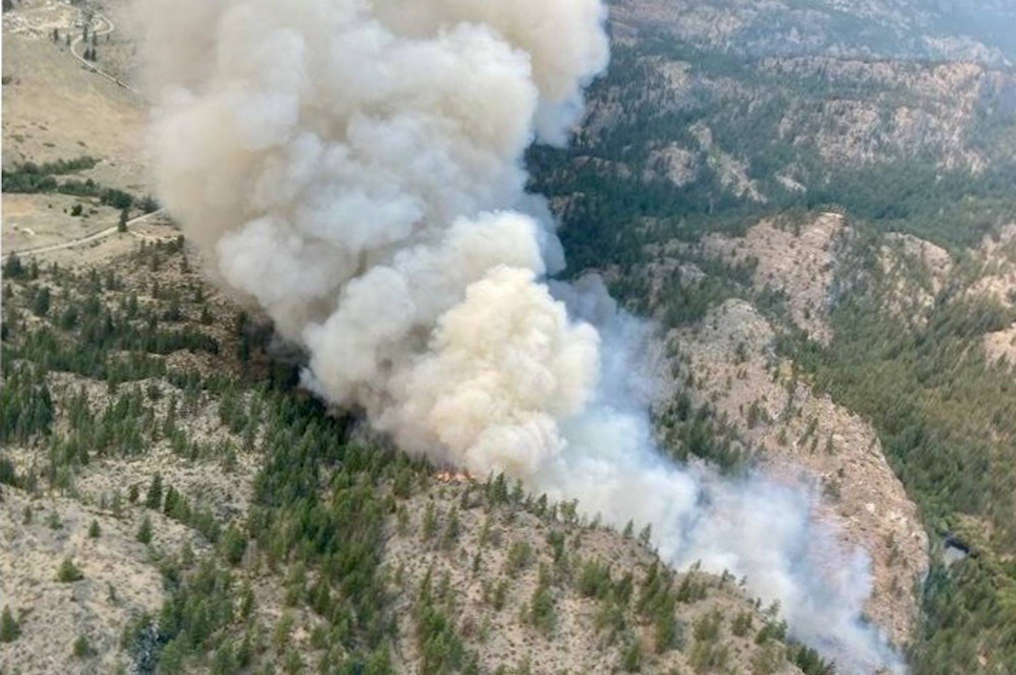 The BC Wildfire Service reports the Inkaneep Creek fire is burning aggressively and is now at 300 hectares in size. (BC Wildfire Service photo)