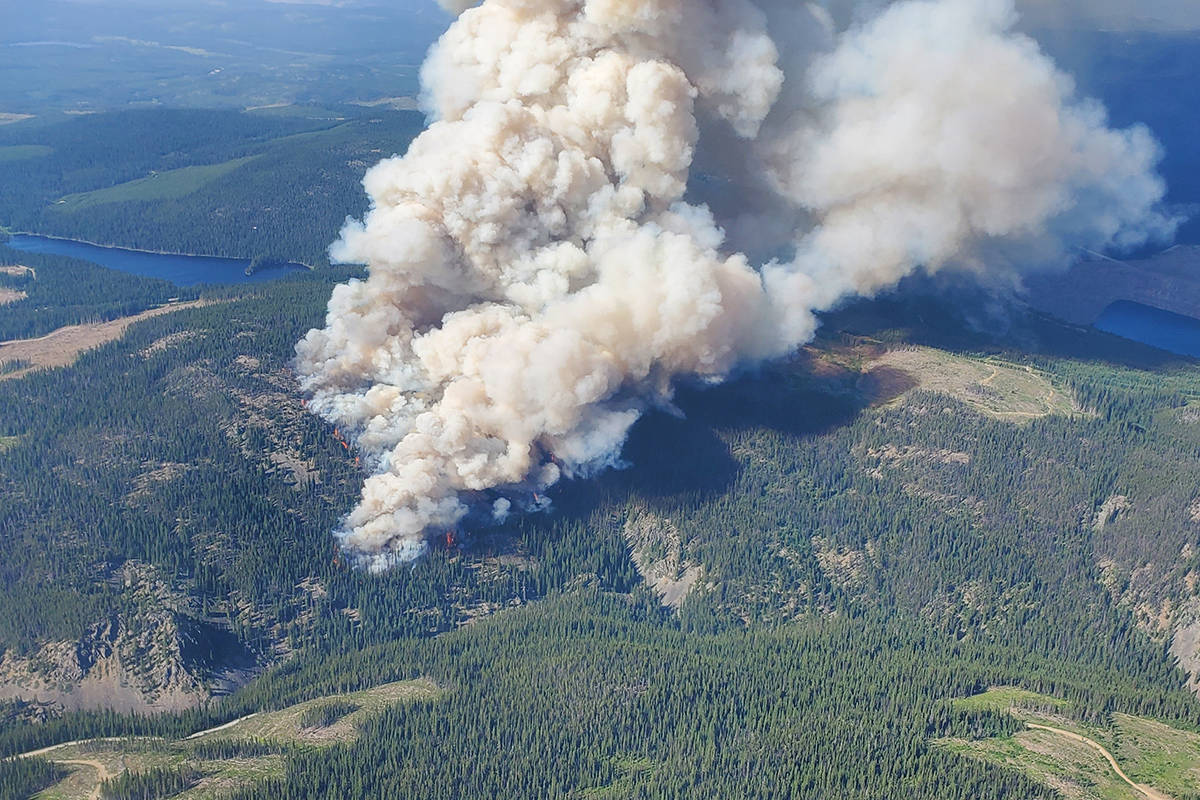 A photo of the Brenda Creek fire from July 15. The fire grew to an estimated 824 ha, according to a BC Wildfire update on Sunday, July 24. (Contributed/B.C. Wildfire Service)