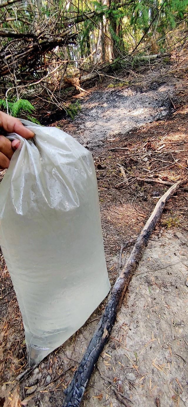 Craig Luke used this plastic bag to put out a wildfire near Duncan Lake. Photo: Craig Luke