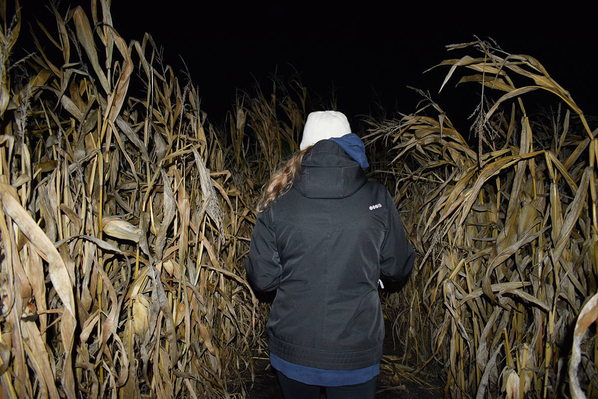 Around 2,400 are expected to traverse through three haunted corn mazes during the 2019 Field of Screams at the Historic O’Keefe Ranch this October. The Once Upon a Nightmare themed event goes Oct. 25, 26, 29 & 30. (Caitlin Clow - Morning Star)