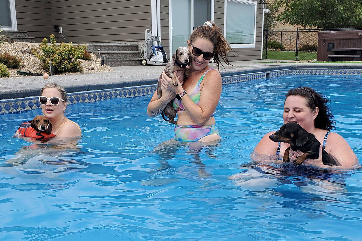 Kelowna’s Brandy Hansen with Sadie (from left), Jessica Young with Ella, both from Kelowna, and Penticton’s Aleta Abbott with Myer were among the attendees in Vernon Sunday, Aug. 8, of the Kelowna Dachshund Club’s annual Pool Party. (Roger Knox - Morning Star)