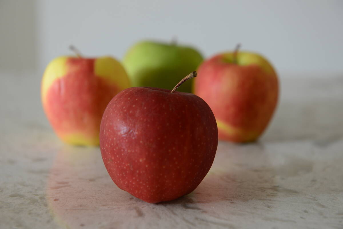 Saturday, Sept. 18, 2021 is Eat an Apple Day. (Jenna Hauck/ Chilliwack Progress file)