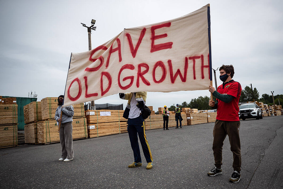 FILE – Protesters hold a banner as they stand in front of stacks of lumber during a demonstration against old-growth logging, at Teal-Jones Group sawmill in Surrey, B.C., on Sunday, May 30, 2021. Teal-Jones holds licenses allowing it to log in the Fairy Creek Watershed on Vancouver Island. THE CANADIAN PRESS/Darryl Dyck