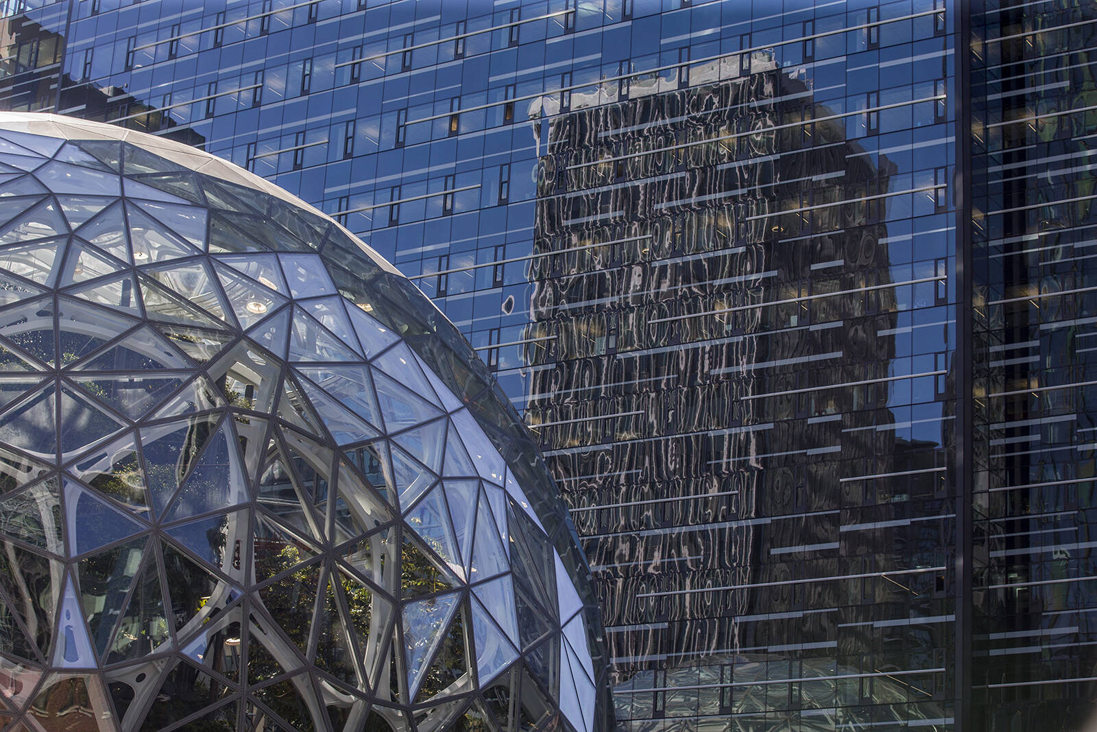 An Amazon tower is reflected in the Amazon Day 1 building above the Amazon Spheres in Seattle. Amanda Snyder | Seattle Times
An Amazon tower is reflected in the Amazon Day 1 building above the Amazon Spheres in Seattle. Amanda Snyder | Seattle Times