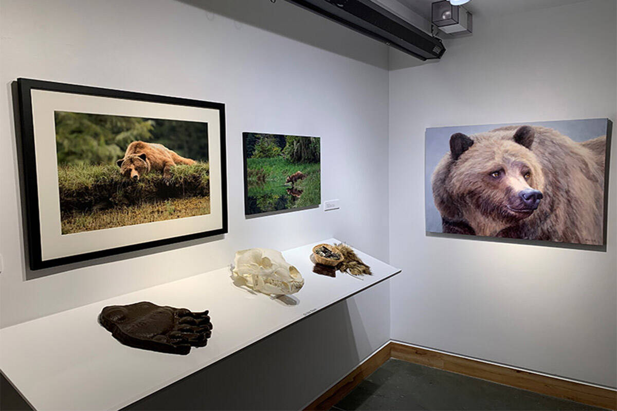 A portion of Kelowna Art Gallery’s new exhibit Grizzly Bears: Teachers of the Land. (Kelowna Art Gallery)