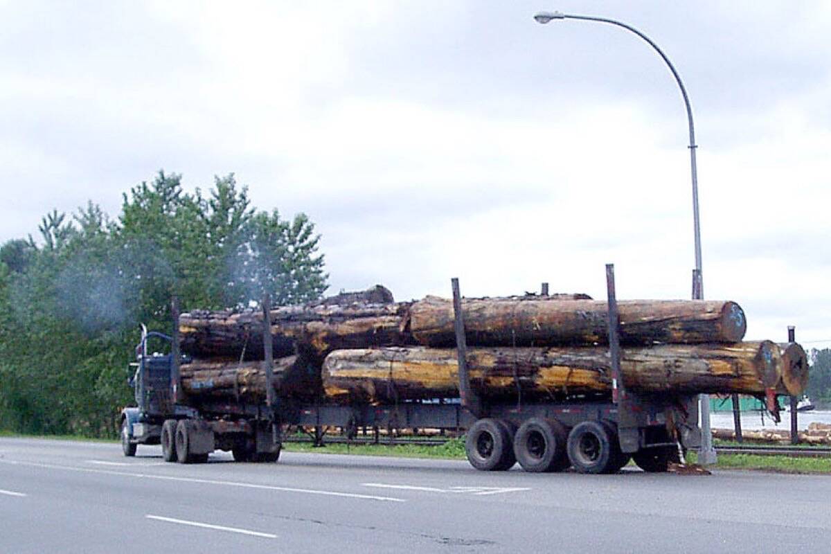 Truck leaves log sort on the Fraser River at Maple Ridge B.C. (Tom Fletcher/Black Press)