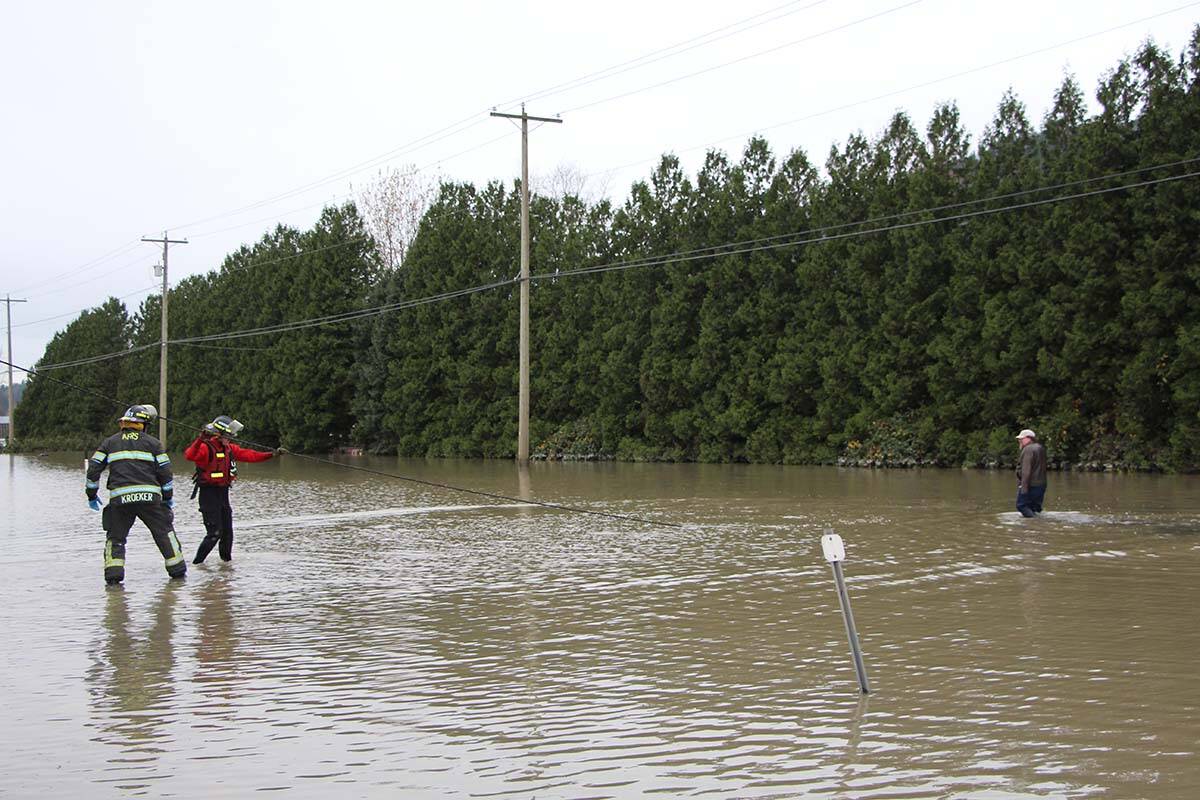 The ladder was lowered into the water. (Vikki Hopes/Abbotsford News)