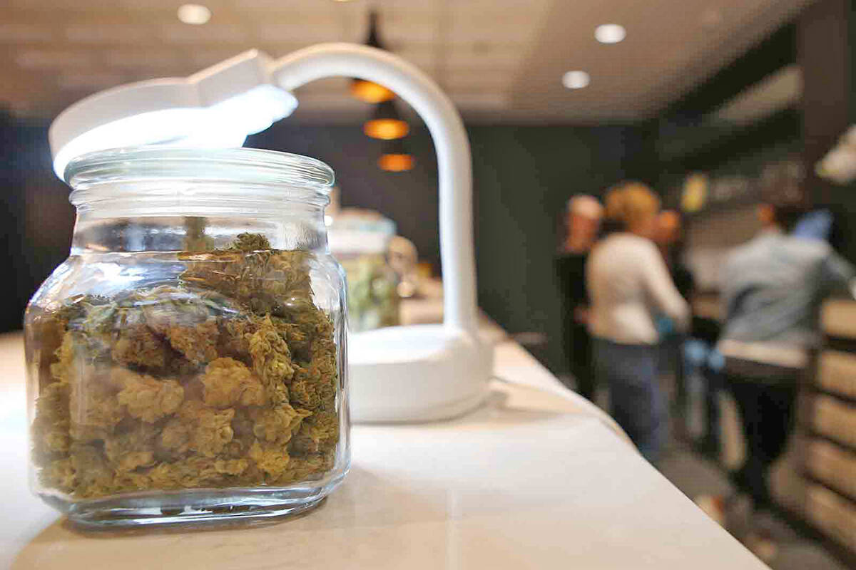 A survey published Nov. 9, 2021 by the Okanagan Cannabis Collective and the Association of Canadian Cannabis Retailers found that 60 per cent of legal B.C. retailers feel their business is no longer viable due to the number of illegal and public stores in operation. (File photo)