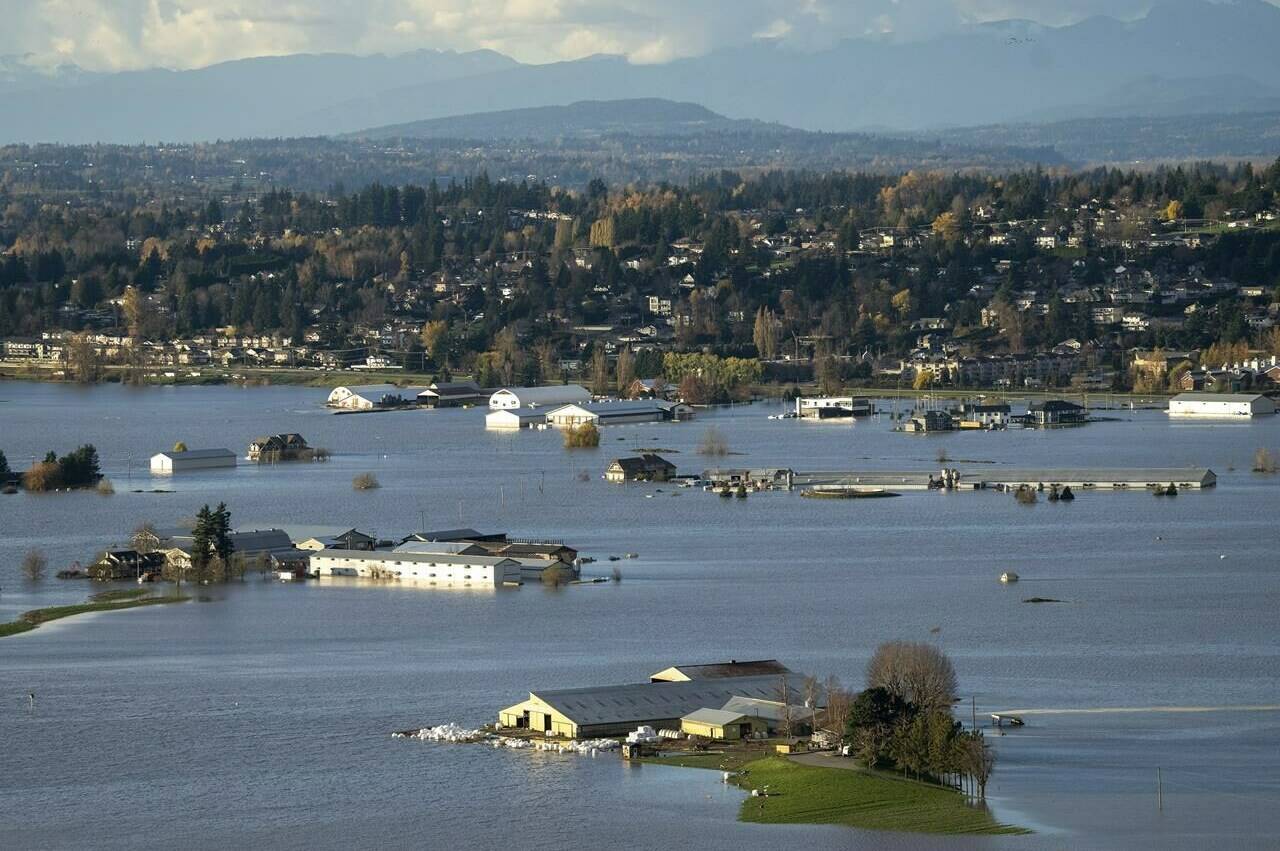 Farmers in B.C. worked together to help save livestock as parts of the Fraser Valley are under water due to devastating flooding says an association that represents the province's dairy farmers. THE CANADIAN PRESS/Jonathan Hayward
