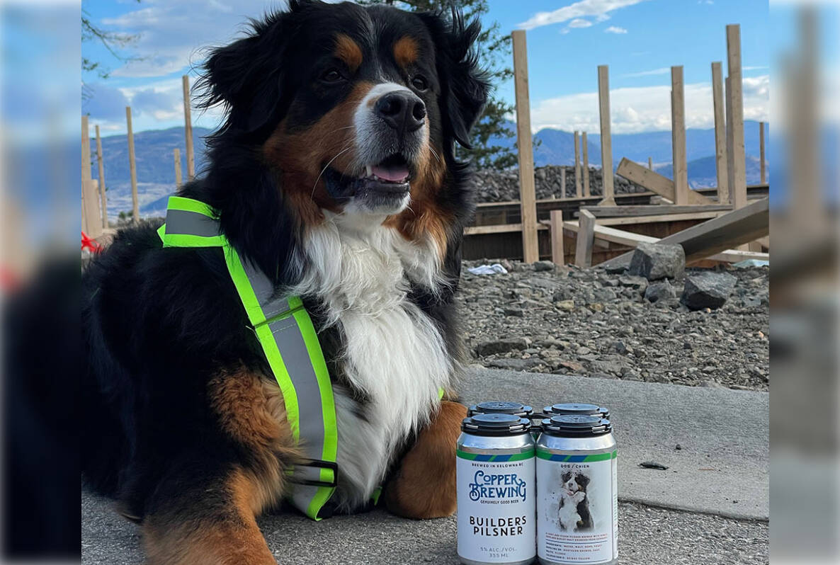 Copper Brewing’s beloved mascot Porter poses with the Builder’s Pilsner. (Copper Brewing Co. photo)