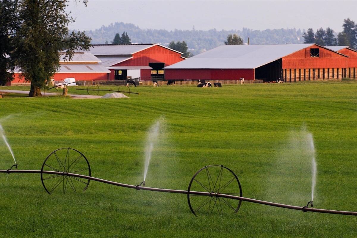 Agriculture depends on irrigation in many parts of B.C., and licences are required for using groundwater sources such as wells for agricultural or industrial use. Farm irrigation in Abbotsford. (B.C. government)
