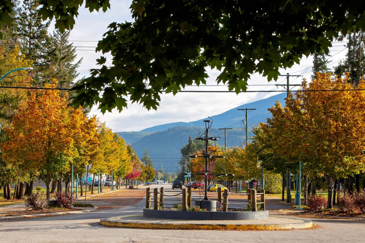 Sicamous council wants an update from the Ministry of Municipal Affairs on municipalities’ authority to add a vacant land tax. (File photo)