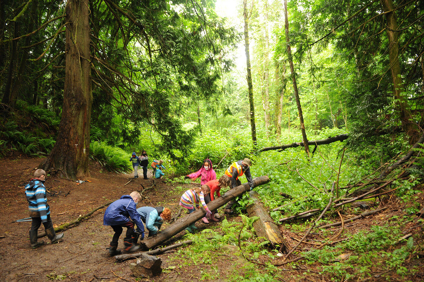 Grade 4 and 5 students from Little Mountain elementary move a log off to the side in a Chilliwack forest on Thursday, May 27, 2021. Monday, March 21, 2022 is International Day of Forests. (Jenna Hauck/ Chilliwack Progress file)