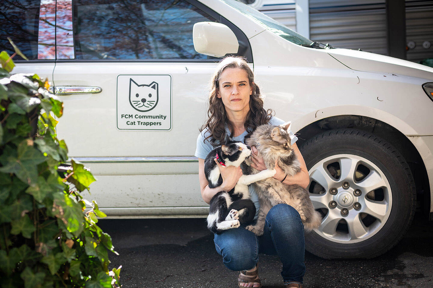 Cat rescue organizations are “drowning in cats” that have been surrendered by owners because they can’t find pet-friendly housing, said Christy Moschopedis of FCM Community Cat Trappers. (Darren McDonald)