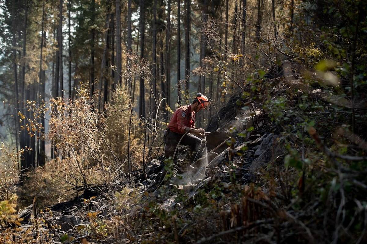Wildland firefighter Ty Feldinger works on steep terrain to put out hot spots remaining from a controlled burn the B.C. Wildfire Service conducted to help contain the White Rock Lake wildfire on Okanagan Indian Band land, northwest of Vernon on Wednesday, Aug. 25, 2021. (THE CANADIAN PRESS/Darryl Dyck)